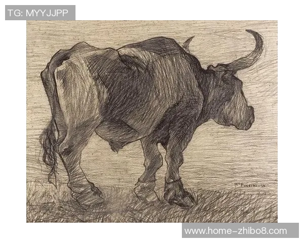 探索埃斯特旺的魅力与独特文化，揭示其在现代社会中的重要地位与影响力