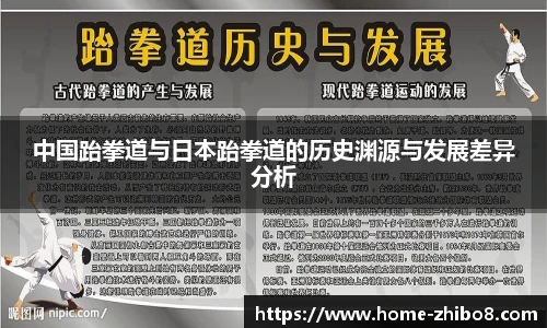 中国跆拳道与日本跆拳道的历史渊源与发展差异分析