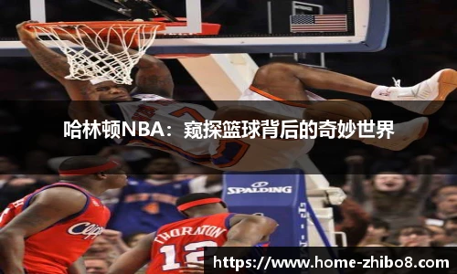 哈林顿NBA：窥探篮球背后的奇妙世界