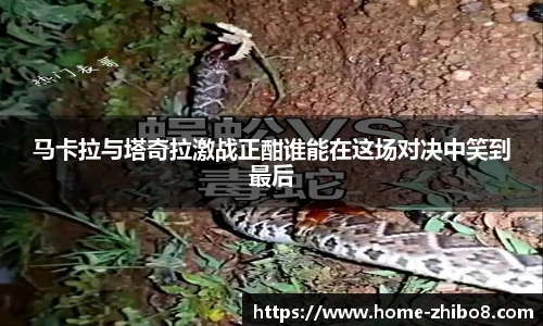 直播吧手机版